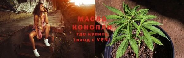 крисы Дмитров